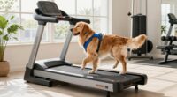 dog treadmill safety tips