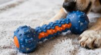 durable chew toys for aggressive chewers