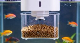 jam free fish feeder tips