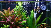 top aquarium co2 systems