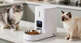 top dual cat feeders