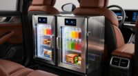 top dual zone car coolers