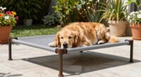 top elevated dog bed list