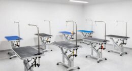 top heavy duty grooming table list