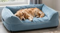 top large orthopedic dog beds