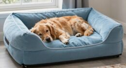 top large orthopedic dog beds