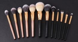 top professional makeup brush sets