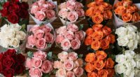 top rose bouquets 2026