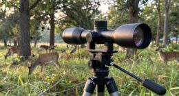 top wildlife spotting scopes