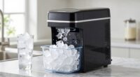 evaluating nugget ice maker