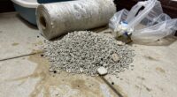 hidden expenses of cheap litter
