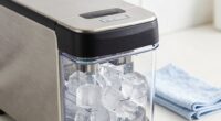 ice maker cleaning routine