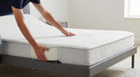 10 Best Best Adjustable Bed Frame Premium in 2026