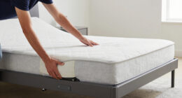 10 Best Best Adjustable Bed Frame Premium in 2026