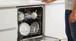 10 Best Best Countertop Dishwasher Premium in 2026