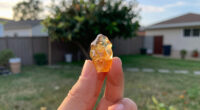 10 Best Best Shed Resin Premium in 2026