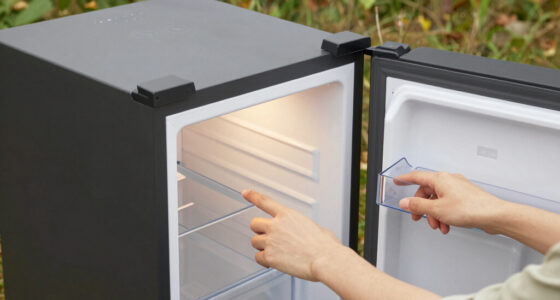 10 Best Camping Refrigerator Dual Zone in 2026