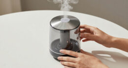 10 Best Home Aroma Diffuser Machine Luxury in 2026