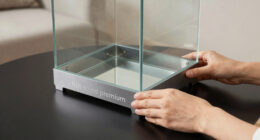 11 Best Fish Tank Stand Premium in 2026