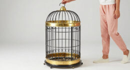 12 Best Bird Cage Large Premium in 2026