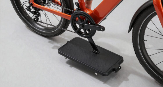 12 Best Hitch Bike Rack Platform Ebike in 2026
