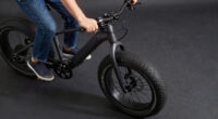 8 Best Best Fat Tire Electric Bike Premium in 2026