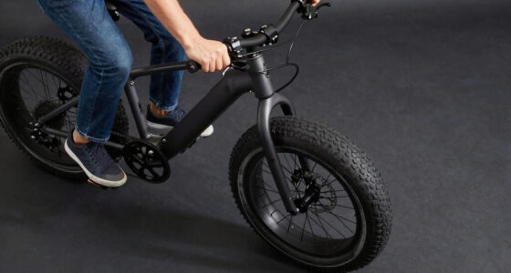 8 Best Best Fat Tire Electric Bike Premium in 2026