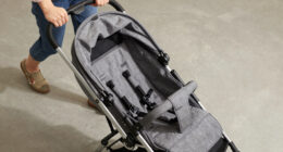 8 Best Stroller Wagons for Two Kids in 2026