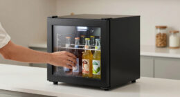 9 Best Best Beverage Cooler Dual Zone Premium in 2026