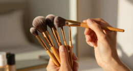 9 Best Best Premium Makeup Brush Collection in 2026