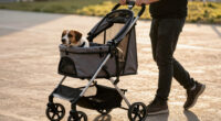 9 Best Pet Stroller Large Breed in 2026 — Comfortable & Durable Choices