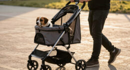 9 Best Pet Stroller Large Breed in 2026 — Comfortable & Durable Choices