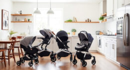 UPPAbaby / Nuna Vista V2 vs UPPAbaby / Nuna Nuna DEMI: Full Comparison
