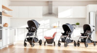 UPPAbaby Vista V2 vs Nuna MIXX: Which Is Better?