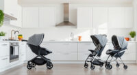 UPPAbaby Vista V3 vs Chicco Strollers: Honest Comparison