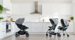 UPPAbaby Vista V3 vs Chicco Strollers: Honest Comparison