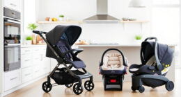 Ultimate Nuna MIXX & UPPAbaby Vista Review: Pros, Cons & Who It's For