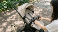 3 Best Bugaboo Fox Cub Strollers in 2026