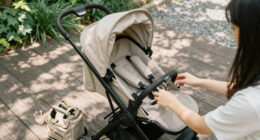 3 Best Bugaboo Fox Cub Strollers in 2026